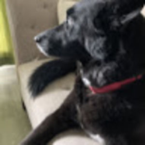 Meet your Posher, Anne-marie